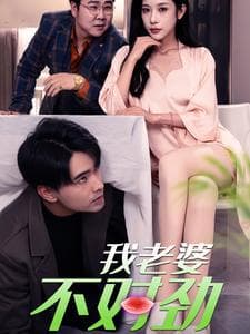 我老婆不对劲 - 现代都市 (2024) 海报