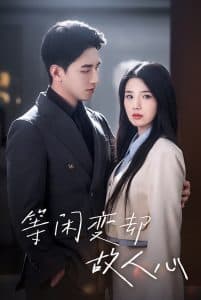 等闲变却故人心 - 现代都市 (2024) 海报