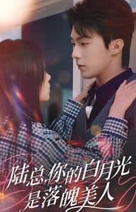 陆总你的白月光是落魄美人 - 女频恋爱 (2024) 海报