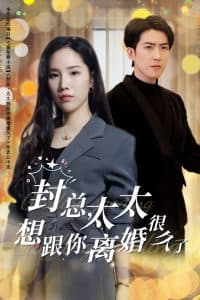 封总太太想跟你离婚很久了 - 女频恋爱 (2024) 海报