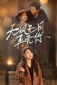 无风无月再无你 - 现代都市 (2024) 海报