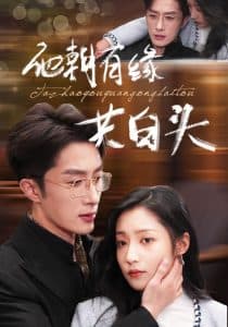 他朝有缘共白头 - 女频恋爱 (2024) 海报