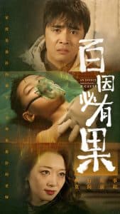 百因必有果 - 现代都市 (2024) 海报