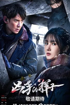 凶手的样子 - 国产剧 (2025) 海报