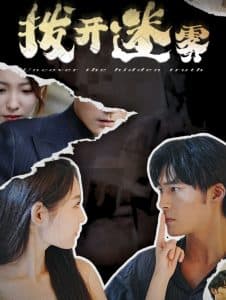 拨开迷雾 - 现代都市 (2024) 海报