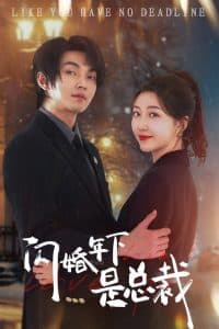 闪婚年下是总裁 - 女频恋爱 (2024) 海报