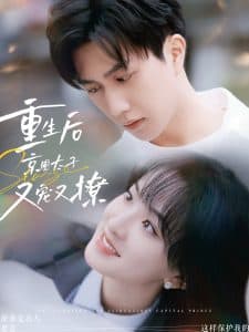 重生后京圈太子又宠又撩 - 女频恋爱 (2024) 海报