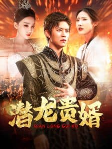 潜龙贵婿 - 反转爽剧 (2024) 海报