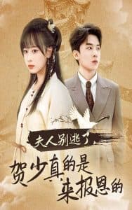 夫人别逃了贺少真的是来报恩的 - 女频恋爱 (2024) 海报