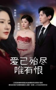 爱已殆尽唯有恨 - 现代都市 (2024) 海报