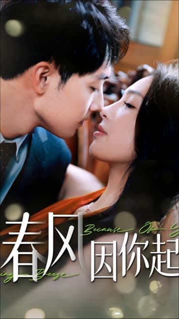 春风因你起 - 女频恋爱 (2024) 海报