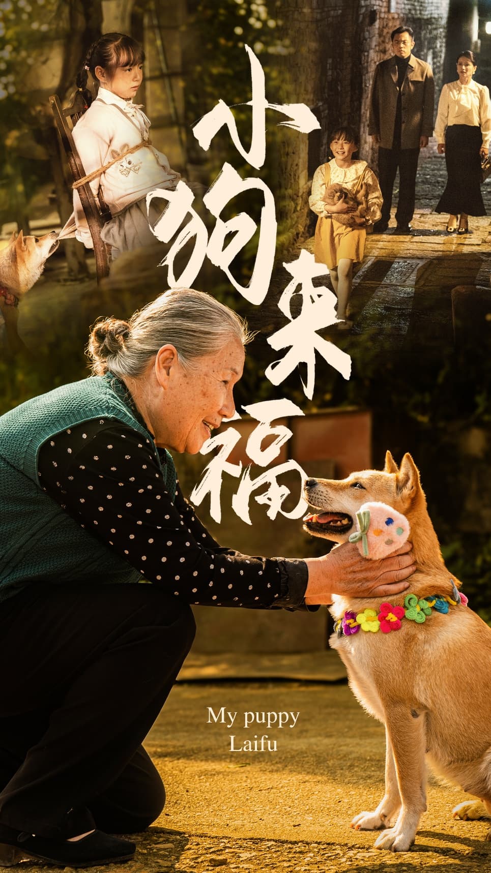 小狗来福 - 现代都市 (2024) 海报