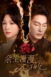 余生漫漫不相见 - 现代都市 (2024) 海报