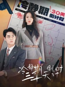 冷静期三十天倒计时 - 现代都市 (2024) 海报