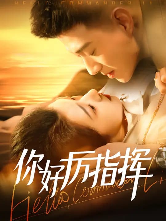 你好厉指挥 - 现代都市 (2024) 海报