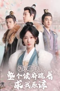 为奴三年后，整个侯府跪着求我原谅 - 古装仙侠 (2024) 海报