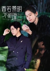 春若景明不相逢 - 现代都市 (2024) 海报