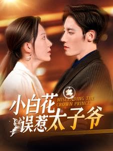 小白花误惹太子爷 - 女频恋爱 (2024) 海报