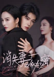 消失妻子的秘密 - 现代都市 (2024) 海报