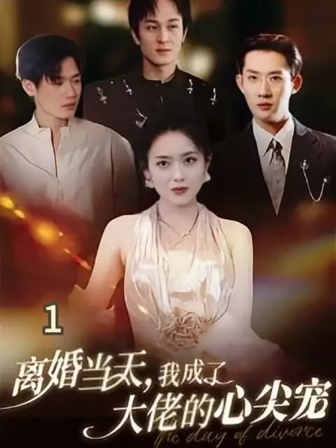 离婚当天我成了大佬的心尖宠 - 女频恋爱 (2024) 海报