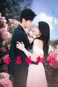 安若暖阳升 - 女频恋爱 (2024) 海报