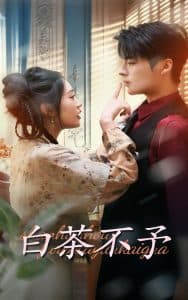 白茶不予 - 女频恋爱 (2024) 海报