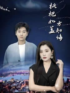 枇杷如盖方知悔 - 现代都市 (2024) 海报