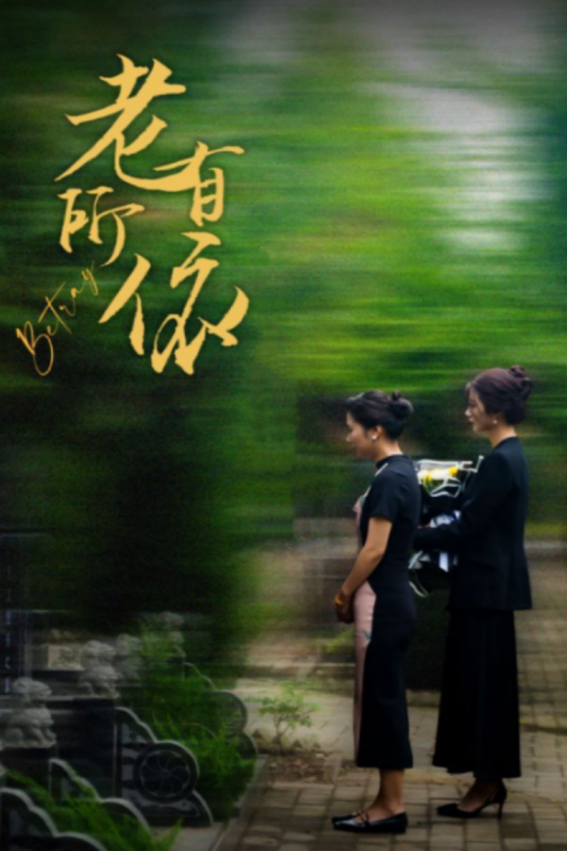 老有所依 - 现代都市 (2024) 海报