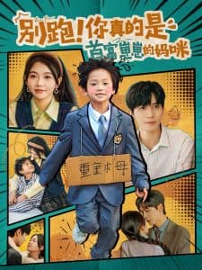 别跑你真的是首富崽崽的妈咪 - 女频恋爱 (2024) 海报