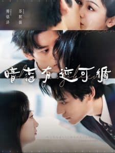 暗恋有迹可循 - 女频恋爱 (2024) 海报