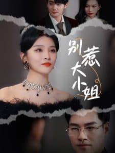 别惹大小姐 - 反转爽剧 (2024) 海报