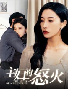 主妇的怒火 - 现代都市 (2024) 海报