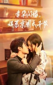 幸孕闪婚，误惹京圈太子爷 - 女频恋爱 (2024) 海报