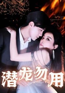 潜龙勿用 - 反转爽剧 (2024) 海报