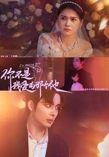 你不是我爱的那个他 - 现代都市 (2024) 海报