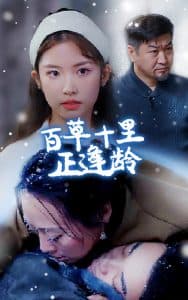 百草十里正逢龄 - 现代都市 (2024) 海报