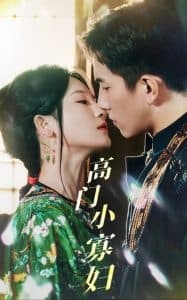 高门小寡妇 - 古装仙侠 (2025) 海报