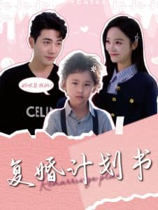 复婚计划书 - 女频恋爱 (2025) 海报