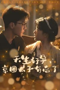 天生好孕京圈太子有后了 - 女频恋爱 (2025) 海报