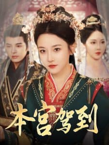 本宫驾到 - 年代穿越 (2025) 海报