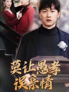 莫让愚孝误亲情 - 现代都市 (2025) 海报