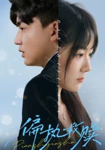 偏执救赎 - 现代都市 (2025) 海报