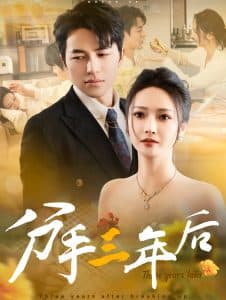 分手三年后 - 现代都市 (2025) 海报