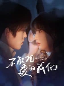 不能相爱的我们 - 现代都市 (2025) 海报