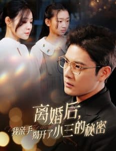 离婚后我亲手揭开了小三的秘密 - 现代都市 (2025) 海报