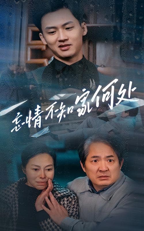 忘情不知家何处 - 现代都市 (2025) 海报