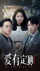 爱有定则 - 现代都市 (2025) 海报