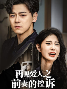 再见爱人之前妻的控诉 - 现代都市 (2025) 海报