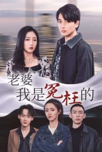 老婆我是冤枉的 - 现代都市 (2025) 海报