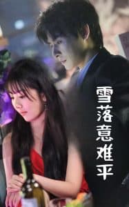 雪落意难平 - 女频恋爱 (2025) 海报